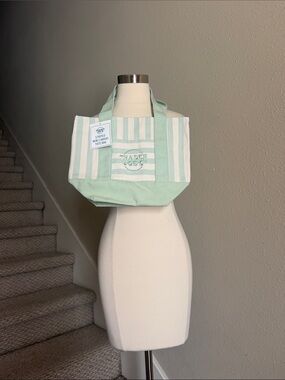 NWT Trader Joe’s Mint Green Striped Mini Canvas Tote Bag